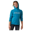 10043322 Ariat Youth 3D Logo Hoodie - Mosaic Blue